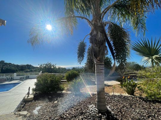 TH2023439 - Modern three bedroom - Photo 1