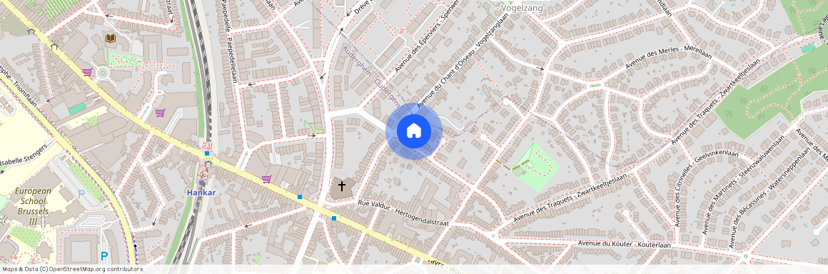 Dokter Edmond Cordierlaan 33, 1160 Oudergem