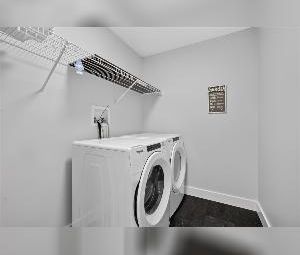 Ellerslie 3 bed 3 bath WALKOUT BASEMENT for rent - Photo 1