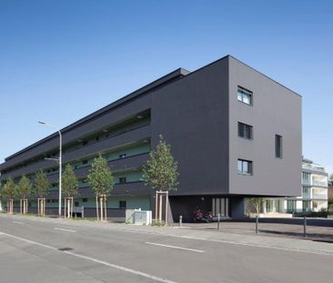 Ihr neues Zuhause in Bestlage, entspannt wohnen in Reinach AG - Photo 1