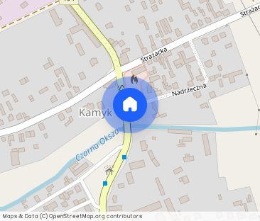 Dom do wynajęcia z podwórkiem i garażem w centrum Kamyka. - Zdjęcie 1