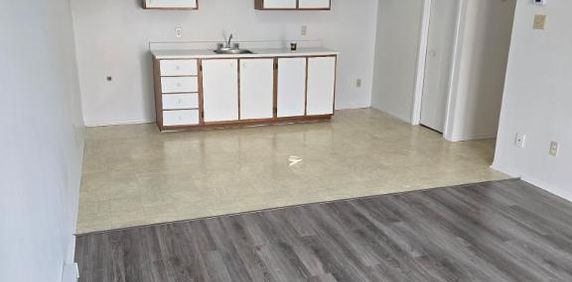 🏡Beau 4 ½ à louer pour août 2026!! - Photo 2