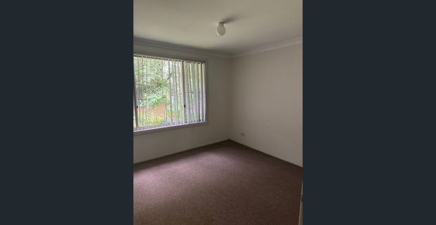 LEAFY LOCATION - Photo 1