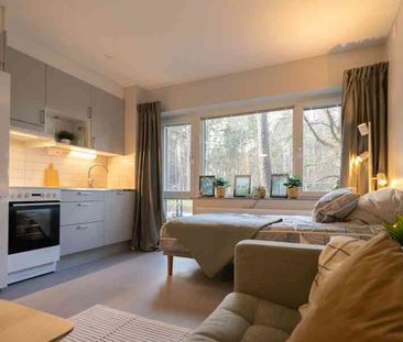 Flamman, Västanågatan 30A.320 - Photo 4