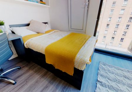 Gold Studio Plus - Photo 2