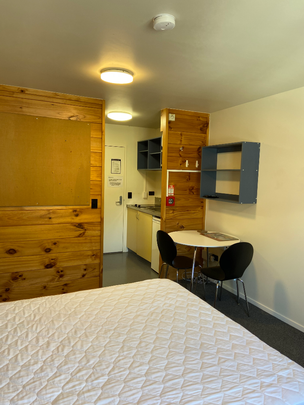 Fully Furnished Studio in Mt Cook - Photo 1