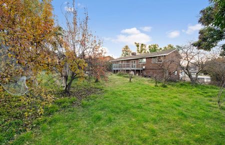 15 Belconnen Way, Weetangera ACT 2614 - House For Rent | Domain - Photo 5