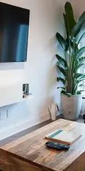 Appartement · 60 m² · Plateau-Mont-Royal - Photo 4