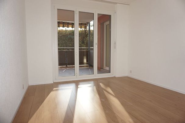 3.5 Zimmer, 64 m², EG - Foto 1