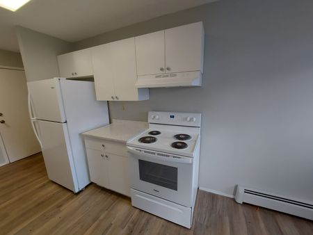 Fully Renovated Pet Friendly Unit - Photo 3