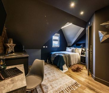 Studio to rent - Photo 4