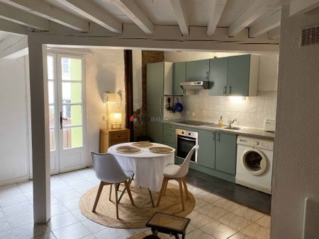 Location Appartement 1 pièce 26m² PERPIGNAN 66000 - Photo 3