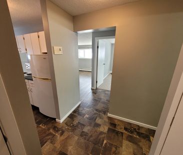 3609 Chaben Place - Photo 2