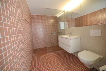 2.5-Zimmer Attikawohnung Gerliswilstrasse 24, Emmenbrücke - Photo 4