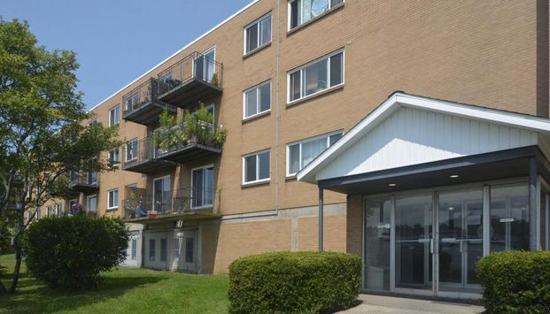 3 Dillman Place - Photo 1