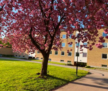 Pilgården 6 B - Photo 2