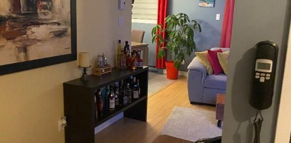 Aubaine pour Décembre 4 1/2 À LOUER - Photo 2