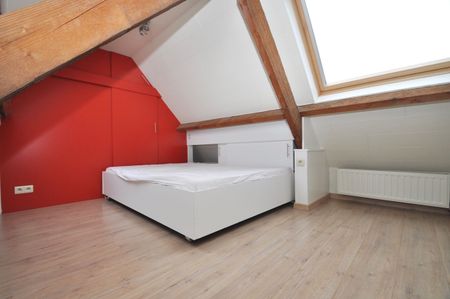 Lichtrijk duplexappartement met één slaapkamer en terras - Photo 4