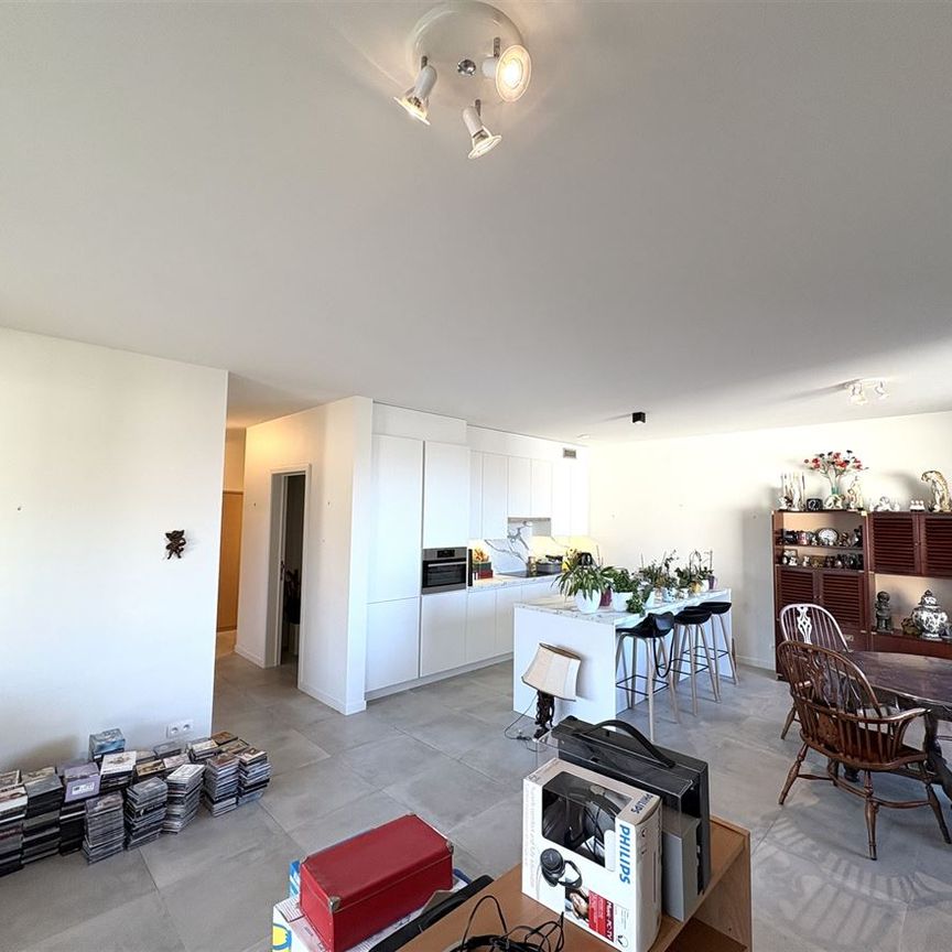 Kapellensteenweg 398, 2920, Kalmthout - Photo 1