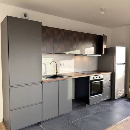 Appartement 3 pièces à Lille - Photo 3