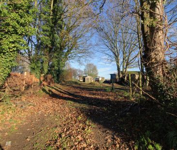 3 bedroom terraced house to rent - Photo 3