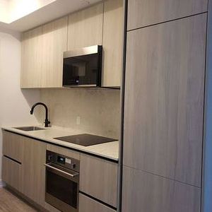 1 Bedroom, 1 Bathroom - Peter & Adelaide Condos - Photo 2