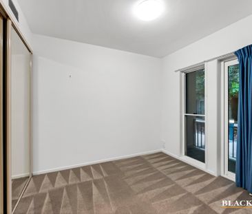 8 Bluebell Street, O'Connor ACT 2602 - House For Rent | Domain - Photo 2