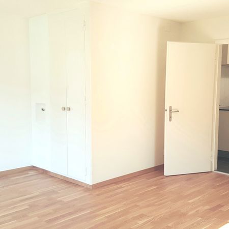 Grosszügige 1.5 Zimmer-Dachwohnung in nächster Nähe zum Bodensee - Foto 3