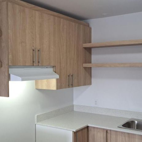 Grand 3 ½ Entierement Rénovés Montreal (Rivière des Prairies) - Photo 1