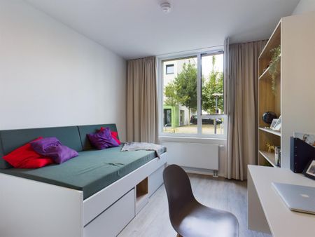 Large Bude 2.00.01 - Photo 5