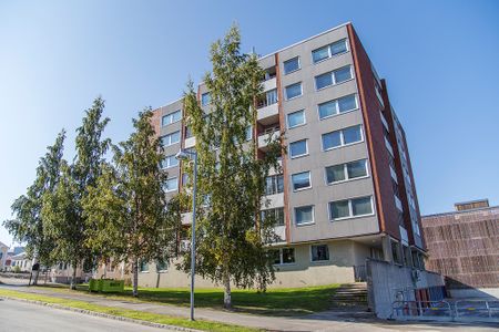 Prästgårdsgatan 24, 94132, Piteå - Photo 3