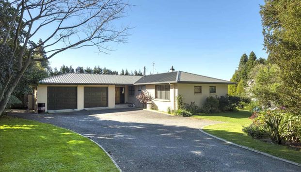 Sunny Haven - Photo 1