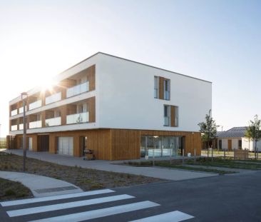 Location maison T2 50.80m² à Betheny (51450) - Photo 4