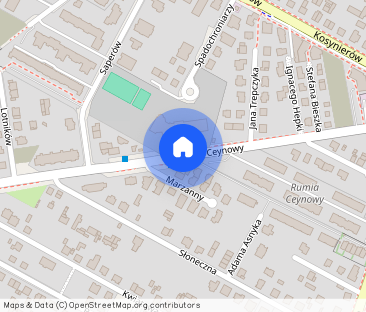 Wynajmę mieszkanie Rumia Ceynowy, 2 pokoje 47 m2 - Photo 1