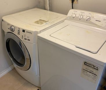 For Lease - 48 Scarboro Avenue Unit# BSMT, Toronto, Ontario - Photo 2