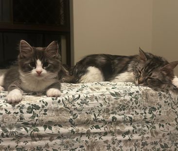 Osborne Park - Photo 5