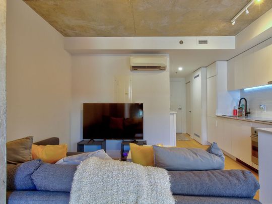 1406 Rue Ste Élisabeth, Montréal (Ville-Marie), QC H2X - Photo 1