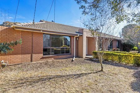 FRESHLY UPDATED 4 BEDROOM FAMILY HOME - Photo 3
