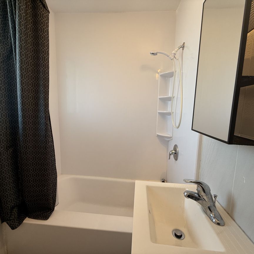 Métro St-Michel : belle unité de 1 chambre rénovée offert non-meublée, disponible maintenant ! - Photo 1