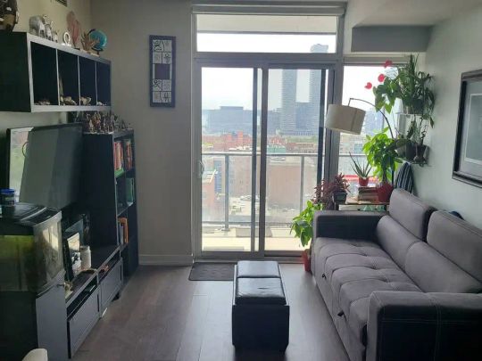 Toronto Furnished Condo for Rent - Luxurious 1 Bed, 1 Bath with South Facing Balcony, Water Views, and Air Conditioning - Photo 1
