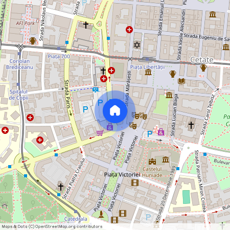 Timis, Timisoara