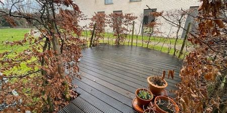 Gelijkvloers app. te huur in Deinze voor € 870 met 2 slaapkamers - Photo 5