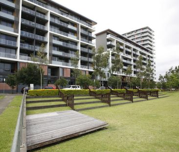 743/8 Ascot Avenue, Zetland - Photo 6