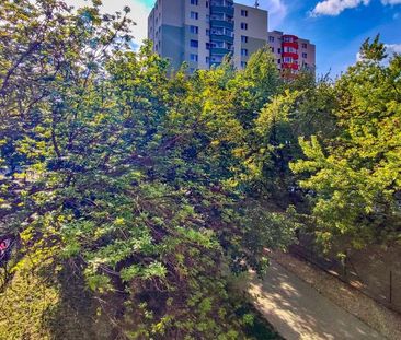 Svetlý 2-izbový byt s loggiou v Devínskej Novej Vsi - Fotografia 5