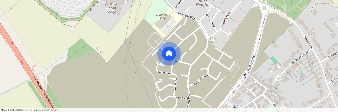 Holliday Avenue, Cringleford, Norwich, NR4