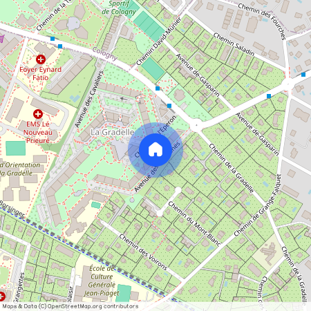 Avenue des Amazones 8, 1224 Chêne-Bougeries