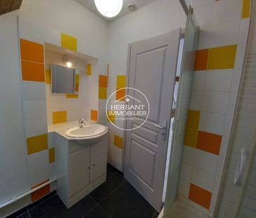 Location Appartement 2 pièces 44m² ST LAURENT NOUAN 41220 - Photo 3