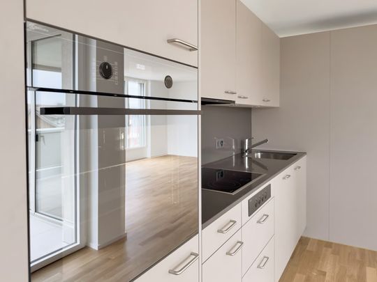 2.5 Zimmer, 59 m², 1. Stock - Foto 1