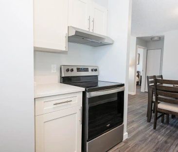 Polo Club Apartments — One-Bedroom Suite - Photo 3