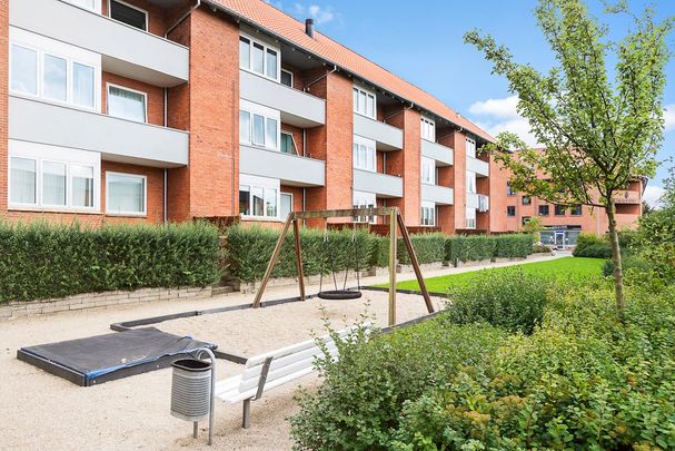 Afd. 16 Kodammen 3 - Photo 1